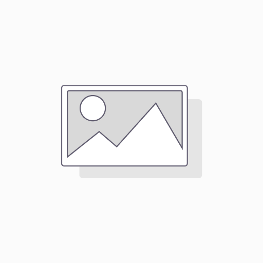 Zugang Online-Trainer §34a GewO